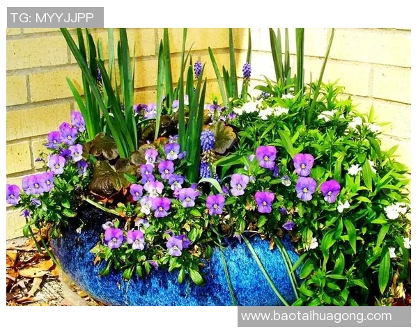 小孩足球球星训练秘籍：从基础技能到实战提升的全方位指南